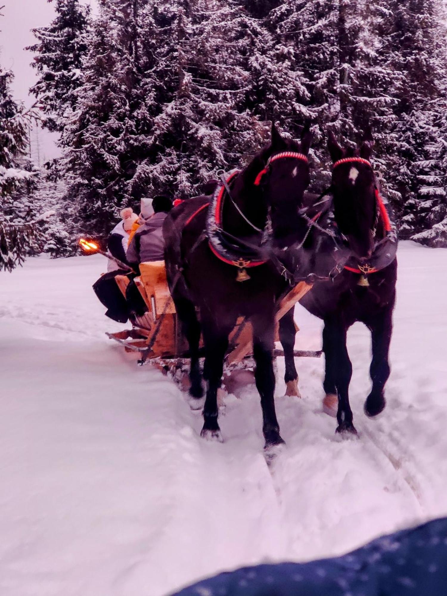Eco Willa Karpatia Ski&Wellness Murzasichle Luaran gambar